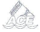ACE Consult
